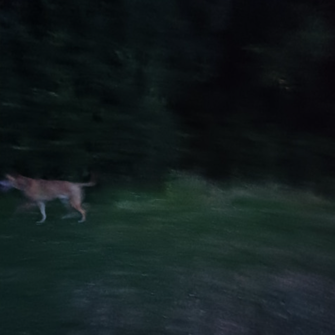 dreadfulsorryclementine ep